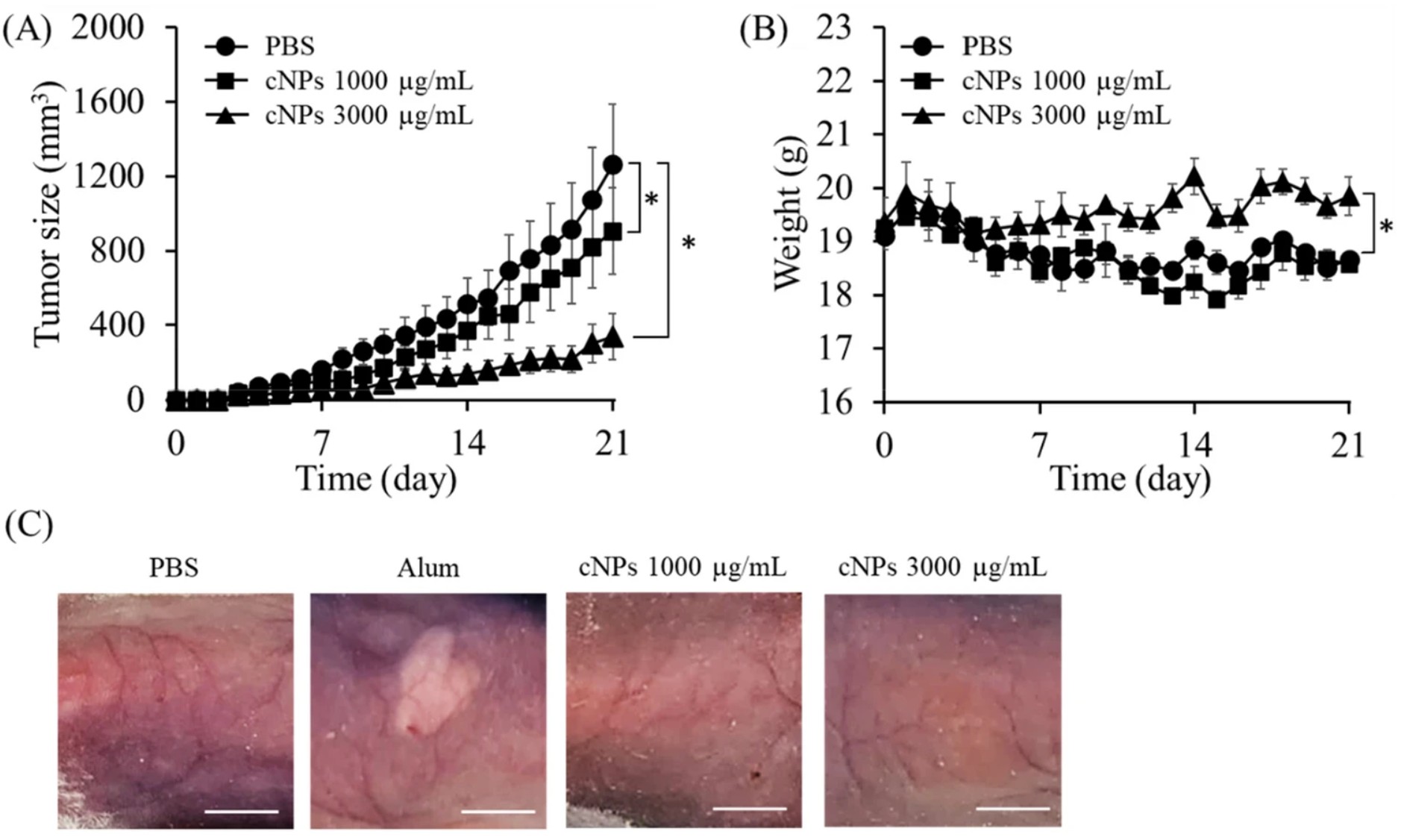 Tumor volume, body weight, and skin reaction in mice after corn-derived exosome treatment showing tumor suppression and biocompatibility.